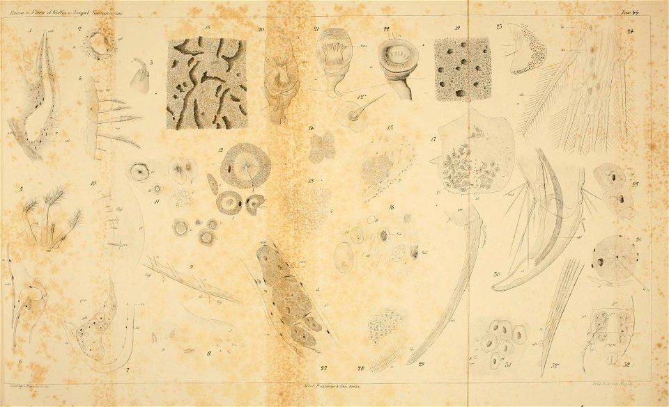 n146_w1150