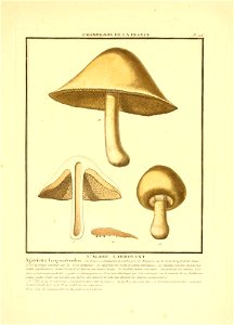 n6_w1150