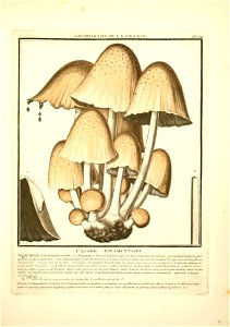 n44_w1150