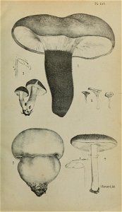 n120_w1150
