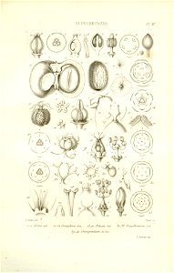 n67_w1150