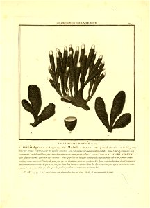 n56_w1150