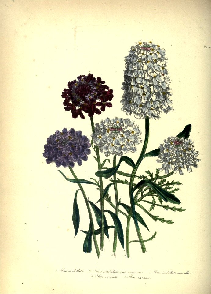 n137_w1150