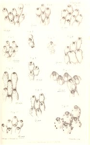 n190_w1150