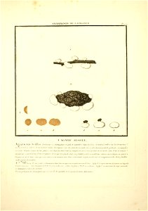 n20_w1150