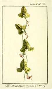 n153_w1150
