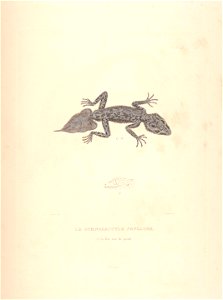 n45_w1150