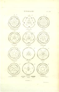 n69_w1150