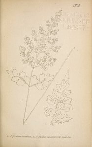 n158_w1150