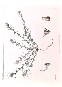 n88_w1150