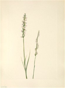 n108_w1150