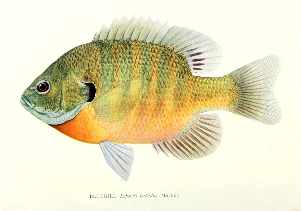 n483_w1150