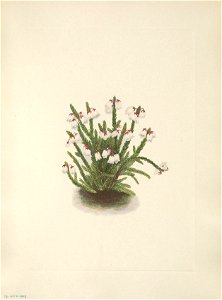 n256_w1150