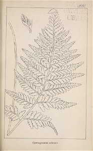 n256_w1150