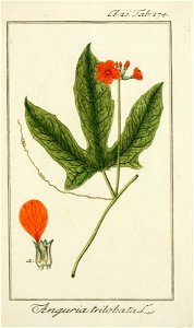 n178_w1150