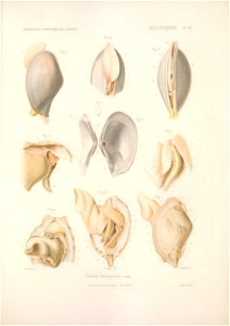 n434_w1150