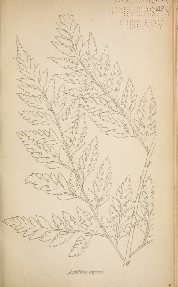 n186_w1150