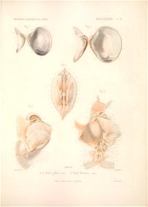 n384_w1150