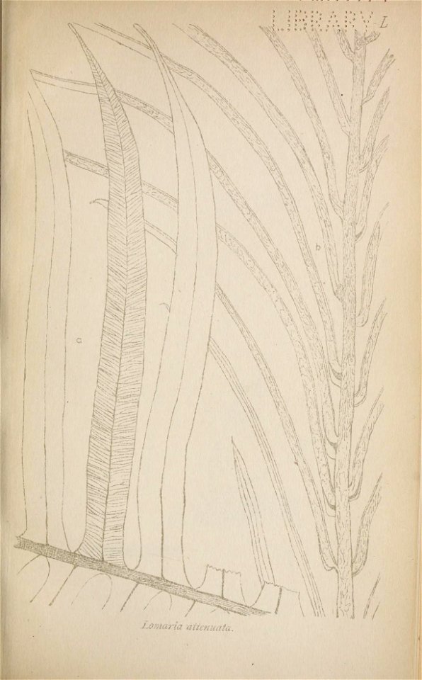 n104_w1150