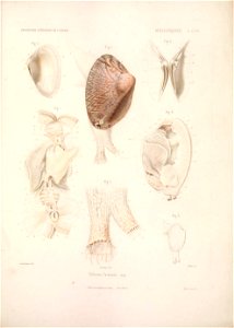 n378_w1150
