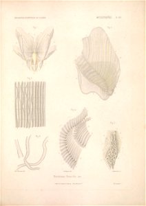 n286_w1150