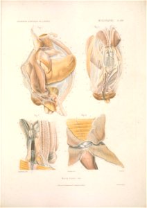 n256_w1150