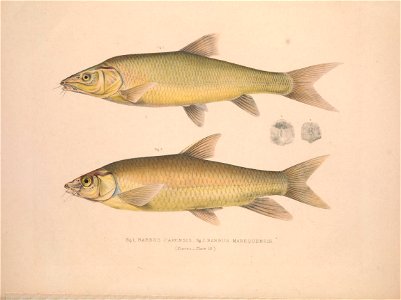 n47_w1150