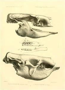 n134_w1150