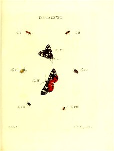 n166_w1150