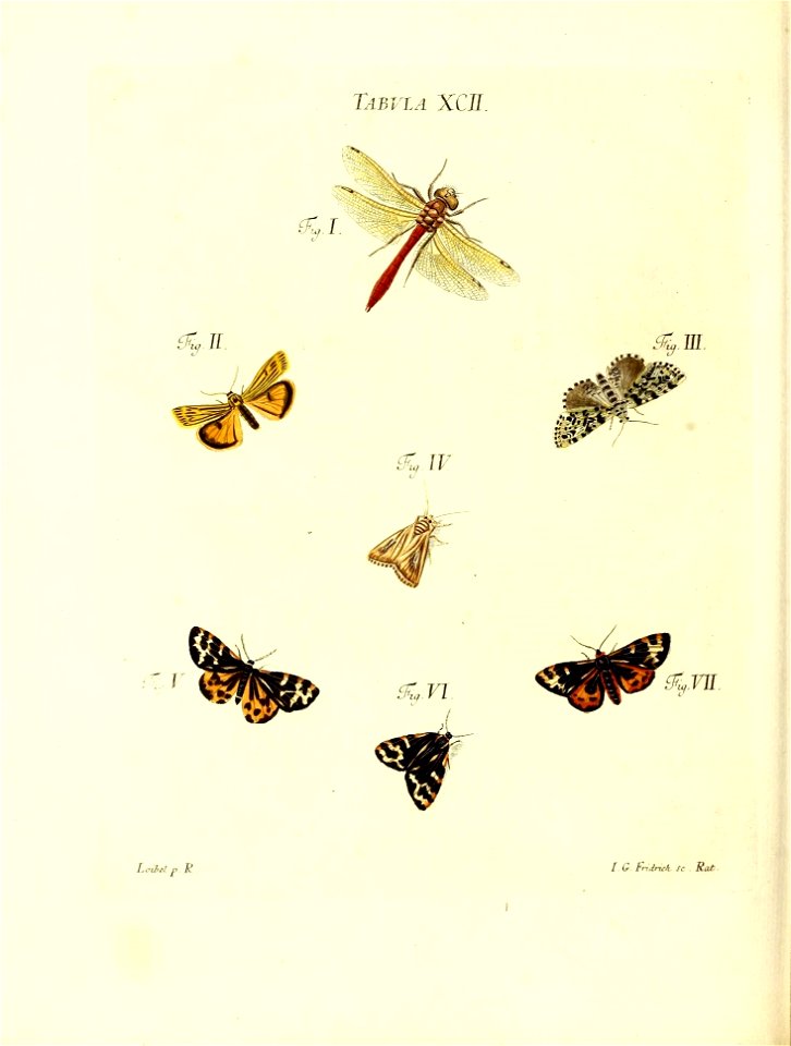 n195_w1150