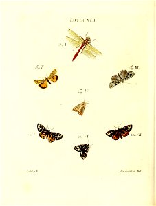 n195_w1150