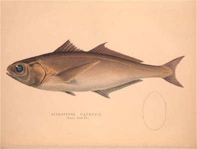 n113_w1150
