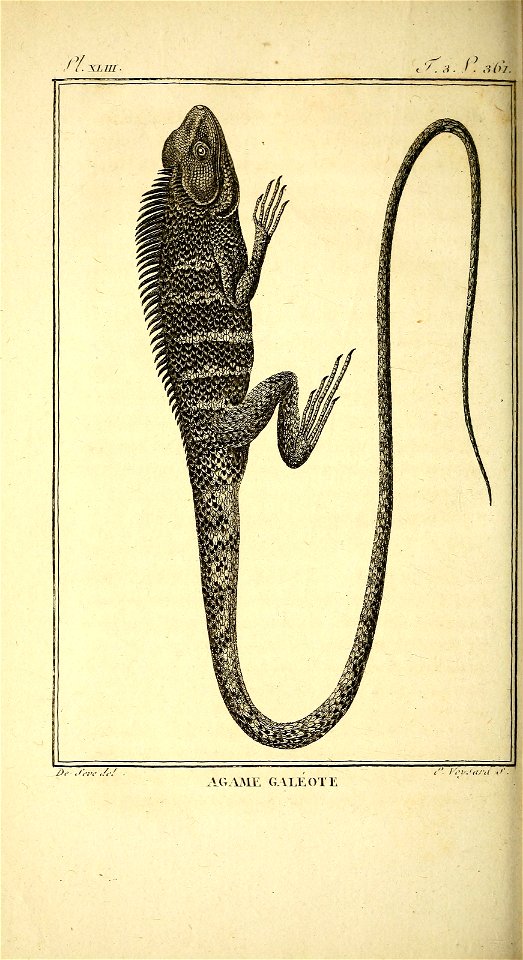n397_w1150