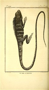 n397_w1150