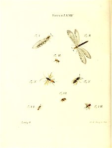 n159_w1150