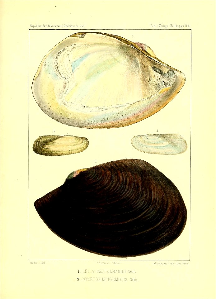 n220_w1150