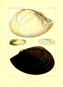 n220_w1150
