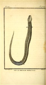n361_w1150