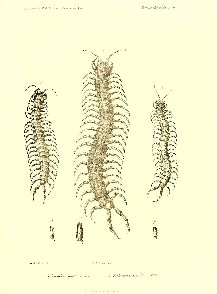 n68_w1150