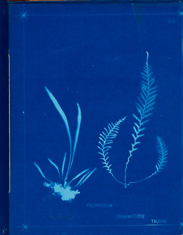 n98_w1150