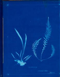 n98_w1150