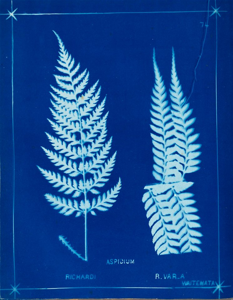n83_w1150