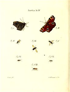 n199_w1150