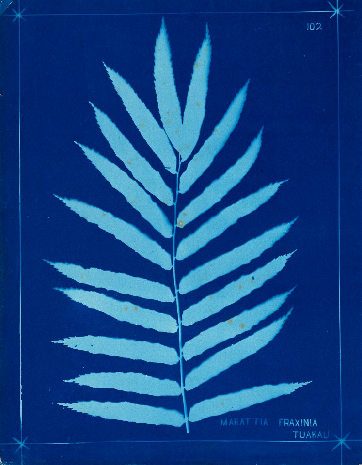 n111_w1150