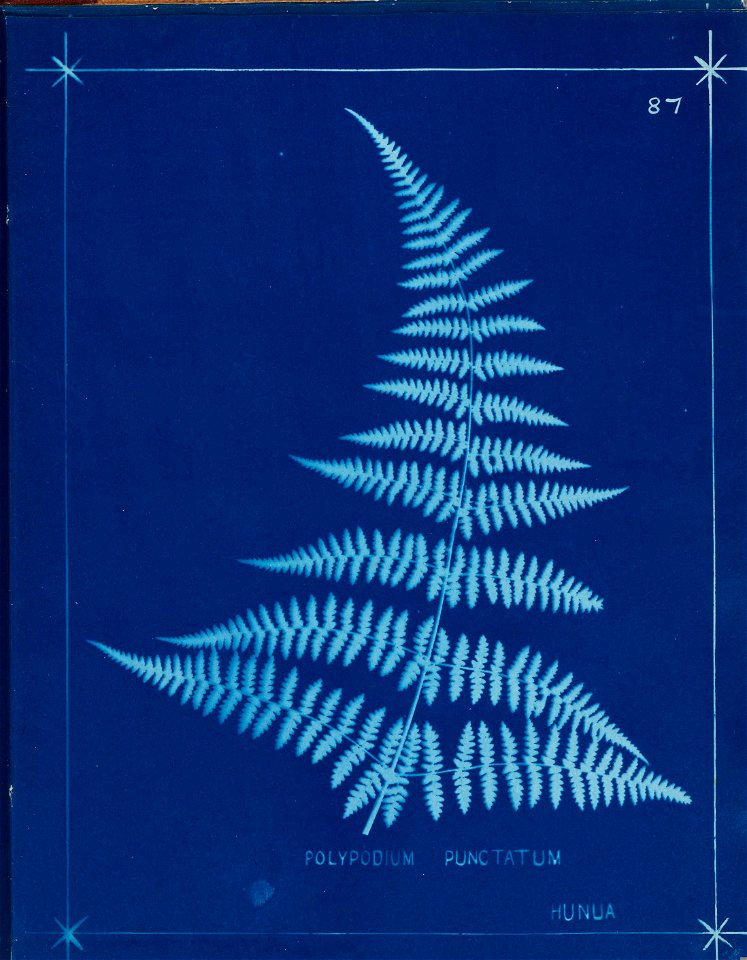 n96_w1150