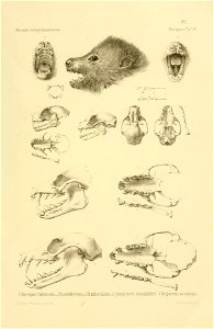 n132_w1150