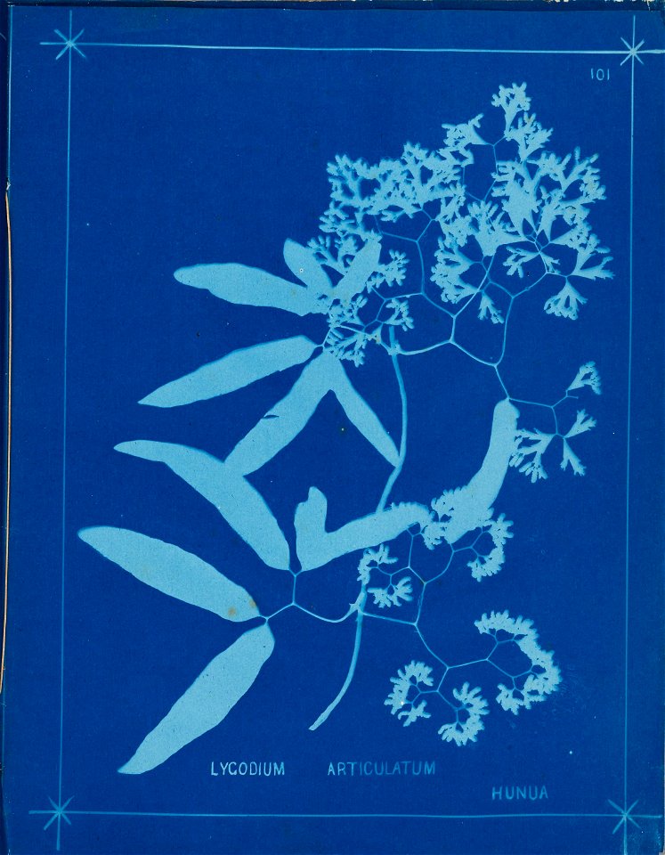 n110_w1150