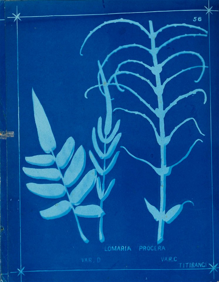 n65_w1150