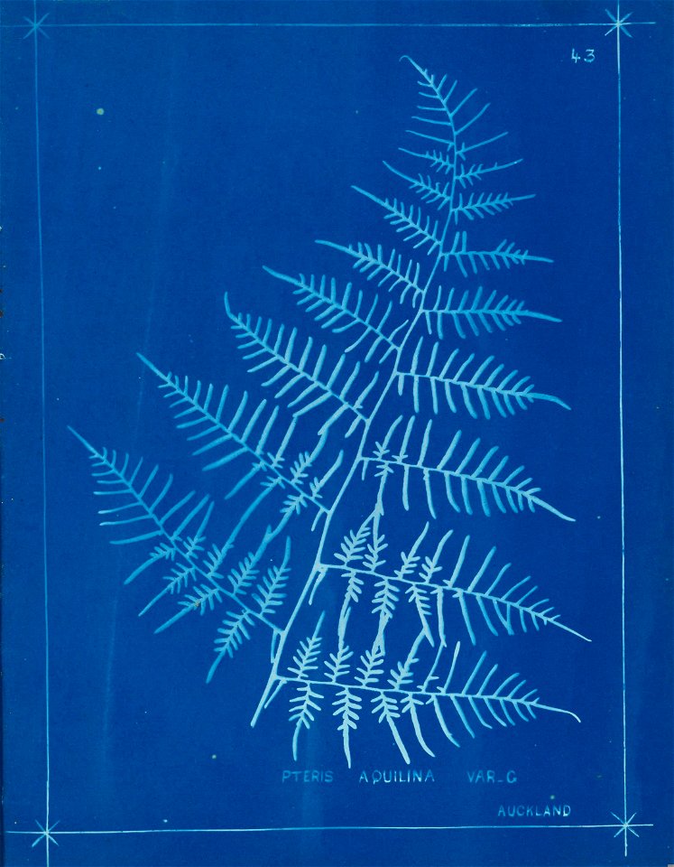 n48_w1150