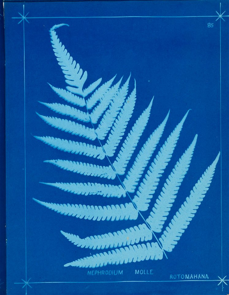 n94_w1150